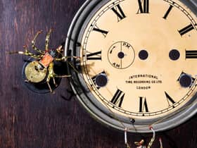 Time bugs by Emma Whitehead