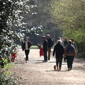 Hundred Acre Woods is popular with dog walkers
Picture: Sam Stephenson.