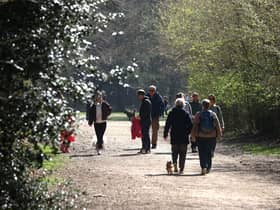 Hundred Acre Woods is popular with dog walkers
Picture: Sam Stephenson.