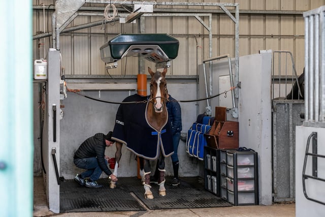 The equestrian hub, to the north of the estate, comprises 3,000 sq ft of stabling (with tack room, feed room and store), a dry bay / wet bay / lunging pen, Martin Collins CLOPF sand arena, horse walker, concrete yard, 2,000 sq ft workshop (with adjoining one bedroom annex), and more than 20 acres of quality agricultural land.