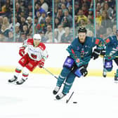 Belfast Giants' captain Mark Cooper. Picture: Phil Magowan/Press Eye