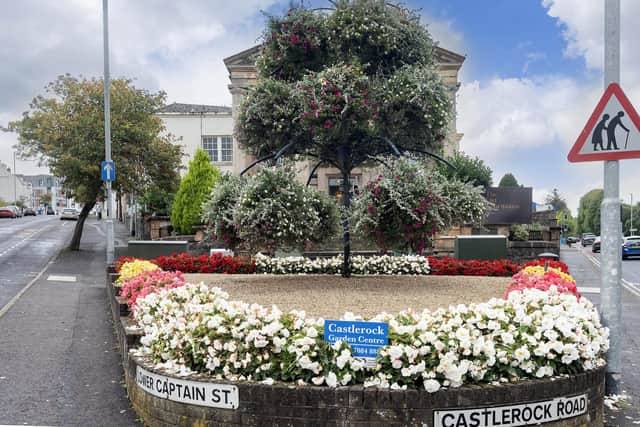 Coleraine: winner of the Large Town/Small City Category in Translink Ulster in Bloom 2023. Credit Translink