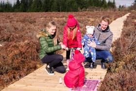 The board walk at  An Creagán is a popular attraction. Credit: Submitted