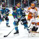 Belfast Giants’ Mark Cooper with Sheffield Steelers' Matthew Greenfield during Friday’s Elite Ice Hockey League game at the SSE Arena, Belfast.   Photo by William Cherry/Presseye   Photo by William Cherry/Presseye
