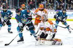 Belfast Giants’ Mark Cooper with Sheffield Steelers' Matthew Greenfield during Friday’s Elite Ice Hockey League game at the SSE Arena, Belfast.   Photo by William Cherry/Presseye   Photo by William Cherry/Presseye