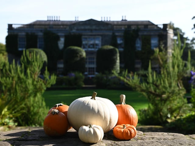 Hop into the Mansion House at Mount Stewart, Newtownards, Co. Down this Halloween from October 24 - November 1 and journey through the magic inkpot trail full of witches, dragons and mythical creatures for a sensory adventure. You can also check out the Frightful Fernery - Halloween Trail.