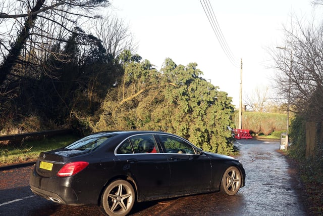 More than 1,000 obstructions were reported on the Northern Ireland road network following the overnight storm, including at Dunmurry Lane in Dunmurry.