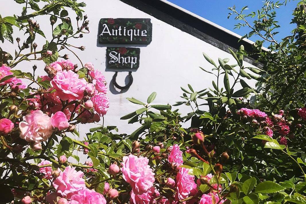 7 shops you need to check out in Co Tyrone if you love vintage, antique or retro things