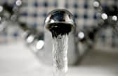 NI Water say they can assure the public that the water is safe to drink as it is  already tested for toxins released by blue-green algae in Lough Neagh.
