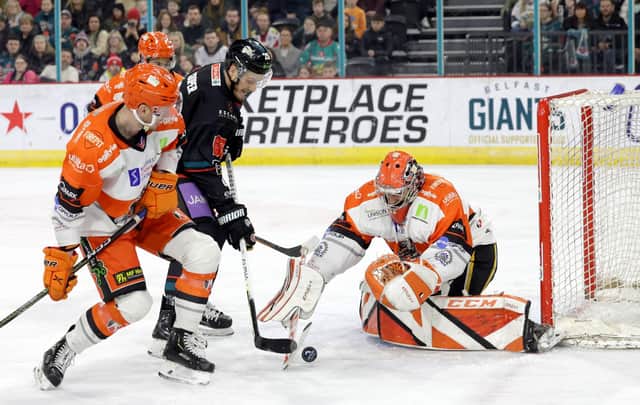Belfast Giants’ Mark Cooper with Sheffield Steelers’ Matthew Greenfield during Saturday’s Elite Ice Hockey League game at the SSE Arena, Belfast.   Photo by William Cherry/Presseye