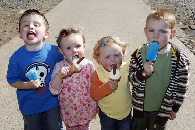 LOTS OF FUN...Harry Kerr, Lucy Maguire, Molly Kerr and Finn McLaughlin pictured during the Riding for Disabled Association (RDA) fun day at Benvarden Gardens in 2008
