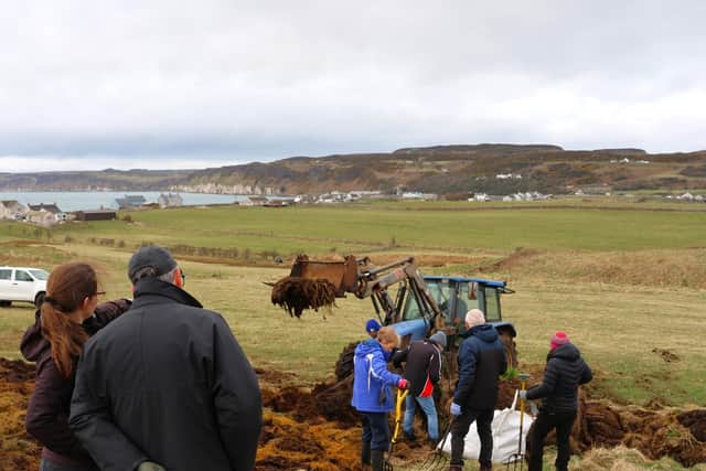 NI are delighted to confirm that six calling male Corncrakes have been recorded on Rathlin Island this breeding season. Nettle rhizomes being replanted on Rathlin by a group of RSPB NI volunteers and staff, March 2025. CREDIT Christopher Curran