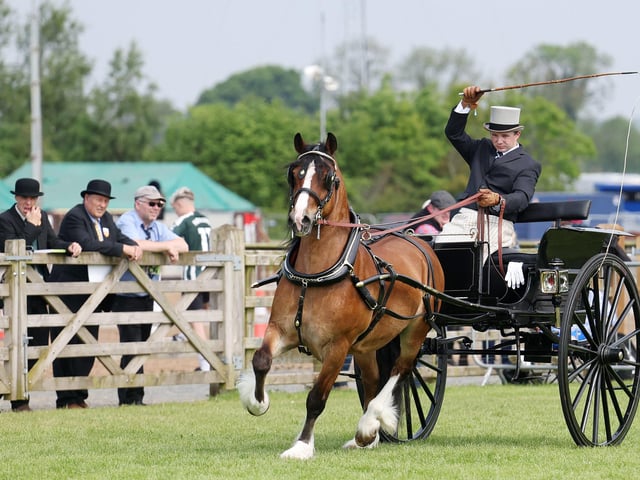 Taking part in one of the equestrian competitions.