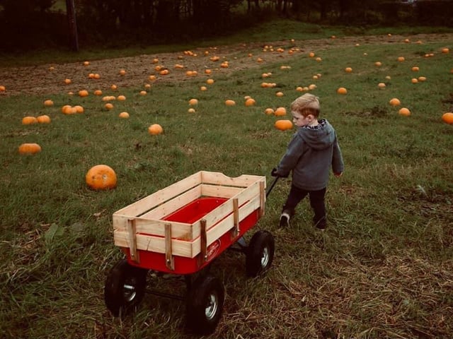 As one of Northern Ireland’s American-themed pumpkin patches, families and friends are invited to come along and explore the area before choosing the perfect pumpkin for this year’s Halloween festivities. Complete with a spooky barn, Halloween treats and on-site food and drinks, a trip to Maxwell’s Pumpkin Patch is not to be missed.
For more information, go to facebook.com/Maxwells-Pumpkin-Patch