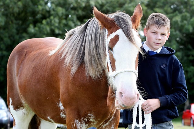 BANK ON US...David Patterson pictured with his horse Holly Bank Primrose during the Garvagh Clydesdale and Vintage Show in 2008
