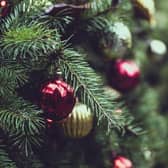 There are a number of places around East Antrim and Mid and East Antrim to find a real Christmas tree.  Photo: StockSnap from Pixabay
