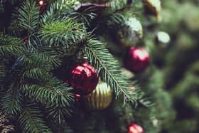 There are a number of places around East Antrim and Mid and East Antrim to find a real Christmas tree.  Photo: StockSnap from Pixabay