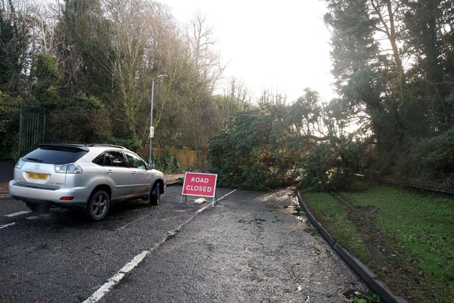 Dunmurry Lane in Dunmurry was blocked by a fallen tree.
