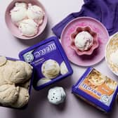 Morelli’s Ice Cream, Ireland’s oldest ice cream producer, has launched in Sainsbury's across Great Britain.