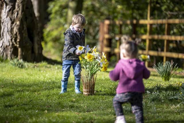 Spring is in the air for Tyler and Mackenzie as they explore this daffodil patch in Ballymoney. The town is looking forward to hosting its annual Spring Fair on Friday 21 and Saturday 22 April