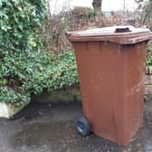 Armagh City, Banbridge and Craigavon Borough Council have issed advice any householders who missed having their brown bins emptied. Picture: National World