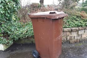 Armagh City, Banbridge and Craigavon Borough Council have issed advice any householders who missed having their brown bins emptied. Picture: National World
