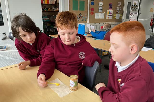 The pupils will compare the seeds and yeast with the 'earth' versions on their return.  Photo: Woodlawn Primary School