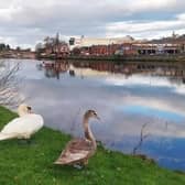 Plans have been submitted to Council for a food/drink concession at Coleraine's Christie Park. Credit Google Maps