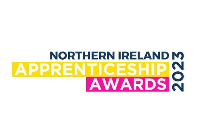 The inaugural NI Apprenticeship Awards will recognise apprentices, the education providers and employers that are flying the flag for apprenticeships across 14 category awards.  Picture: National World