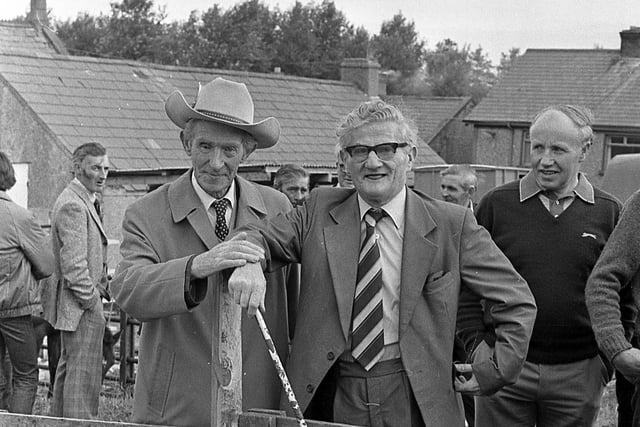 Tom McKenna from Ballymoney selling a pen of sheep to William Leonard from Pettigo, Co Fermanagh, at a sale at the Oul Lammas Fair at Ballycastle, at the end of August 1982. Picture: News Letter archives