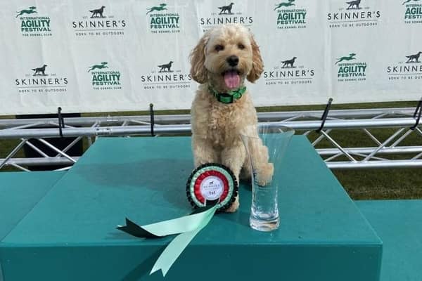 POOCH POWER...Fern in first place on the podium!