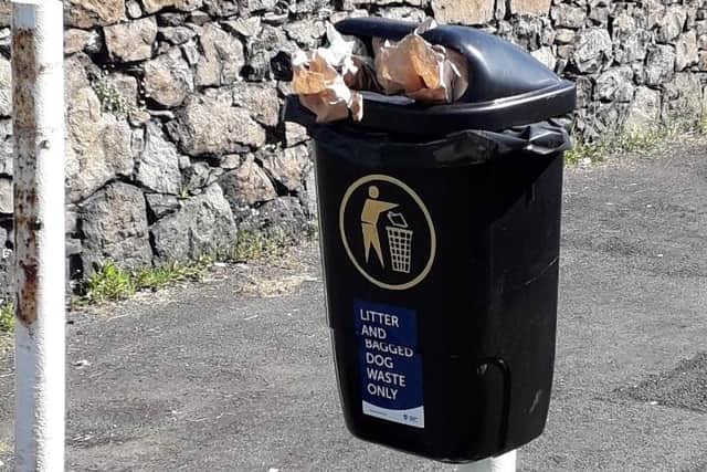 Increase in fines for dog fouling and littering (stock image).