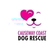 Causeway Coast Dog Rescue took to social media to highlight the threat to a staff member. CREDIT CCDR