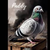 The book on ‘Paddy the Pigeon’ has been released by Ancre Somme Association Charity to mark International War Animal Day on February 24.  Image: Ancre Somme Association Charity