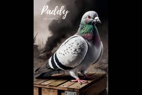 The book on ‘Paddy the Pigeon’ has been released by Ancre Somme Association Charity to mark International War Animal Day on February 24.  Image: Ancre Somme Association Charity