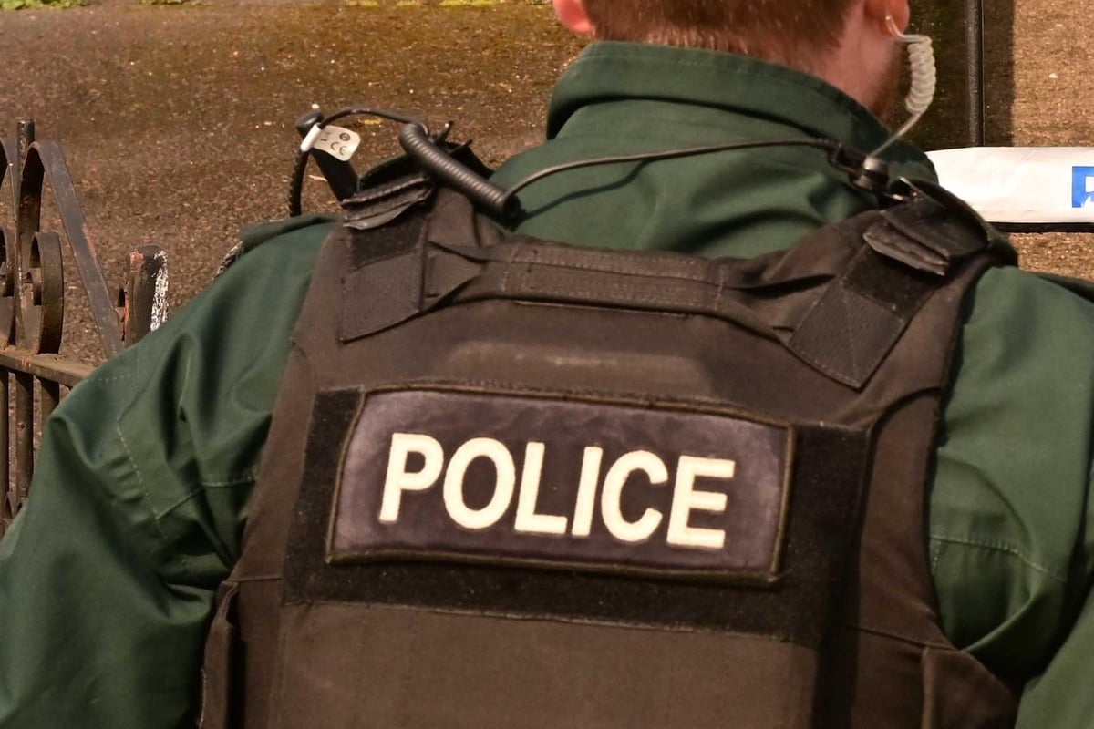 Lisburn: Masked Gang Leave Female 'badly Shaken' After 'forcing Ent...