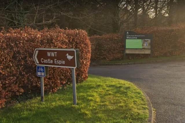 WWT Castle Espie Wetland Centre in Comber Co Down will welcome back visitors from Monday, January 23 following a temporary closure. Picture: Google