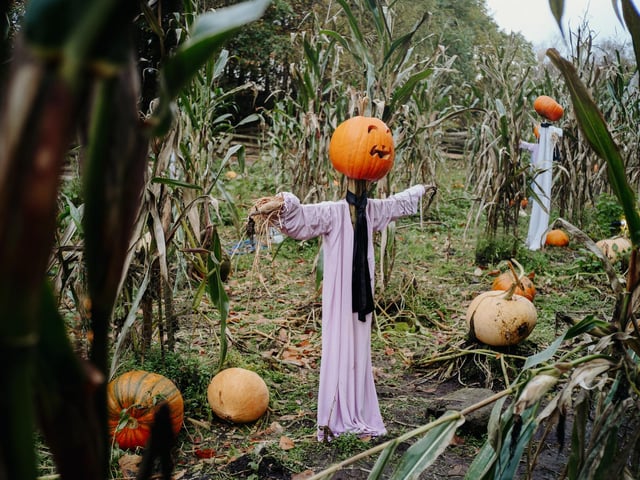 Delve into the history of the spookiest season at the Ulster American Folk Park, Omagh, Co. Tyrone from October 28 - 31 and discover how the people of rural Ulster celebrated Halloween traditions centuries ago, when folklore, superstition and tales of the unknown were woven into everyday life. And don’t miss the Halloween Torchlight Tours from October 23 - 24.