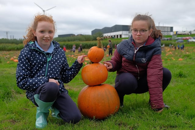 Local children help with the pumpkin harvest in Loughgall,  Co. Armagh.