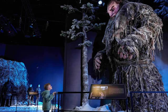 The Game of Thrones Studio Tour in Banbridge. Picture: The Deluxe Group
