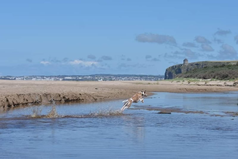 Benone is a popular destination in the Causeway Coast and Glens area and a favourite of Monica Morrison who shared this great photo. Benone Strand is located 12 miles north of Limavady and four miles west of Castlerock.