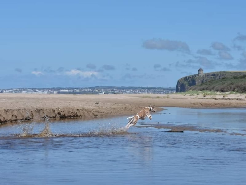 Benone is a popular destination in the Causeway Coast and Glens area and a favourite of Monica Morrison who shared this great photo. Benone Strand is located 12 miles north of Limavady and four miles west of Castlerock.