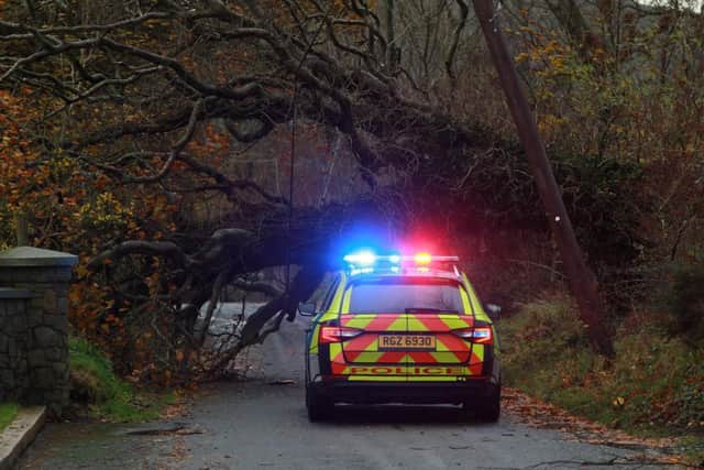 People across Northern Ireland have been warned of the dangers of fallen trees and flooding due to Storm Isha.  Picture: Pacemaker (stock image).
