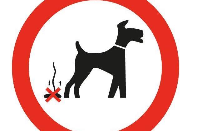 Many people responded to say they were concerned at the amount of dog waste on paths across the borough and said the place would be a nicer place to live if dog owners were more considerate and picked up after their pets.