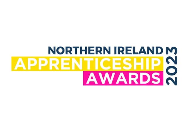 The inaugural NI Apprenticeship Awards will recognise apprentices, the education providers and employers that are flying the flag for apprenticeships across 14 category awards. Picture: National World