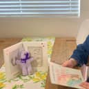 Kaitlin Stothard shares her family story of her baby daughter Rosie as part of Baby Loss Awareness Week. Pic credit: SEHSCT