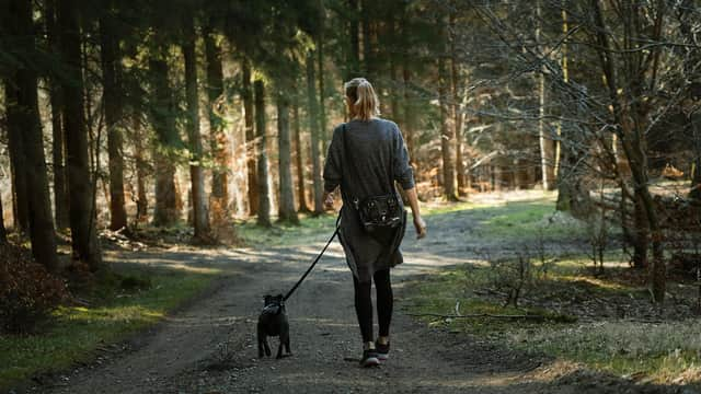 There are many great forest walks you can enjoy across Northern Ireland.