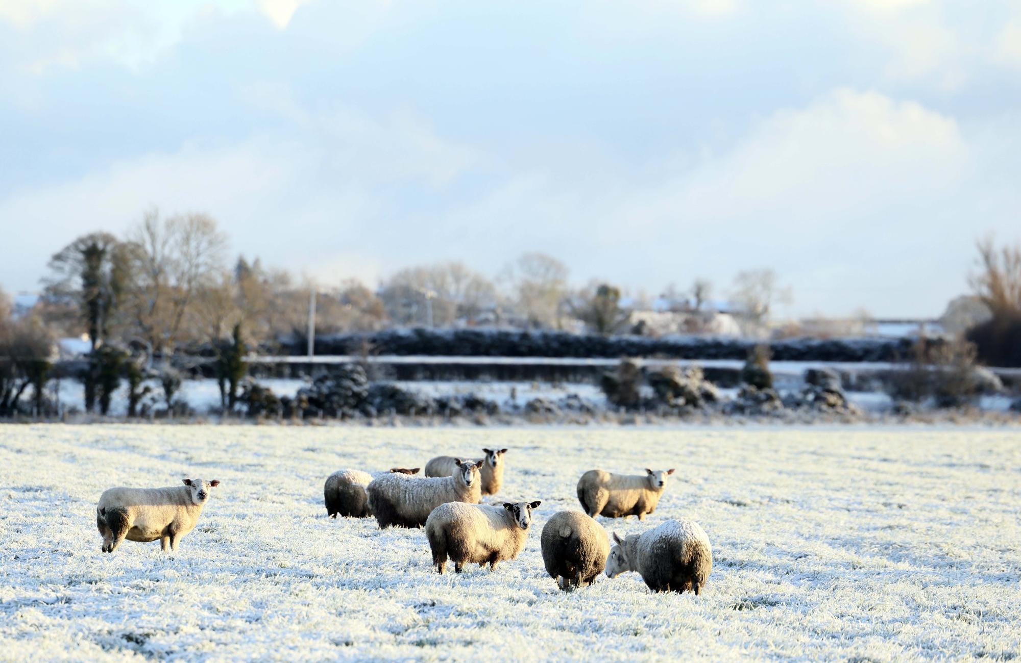 Northern Ireland weather: Met Office issues new warning for snow and ice