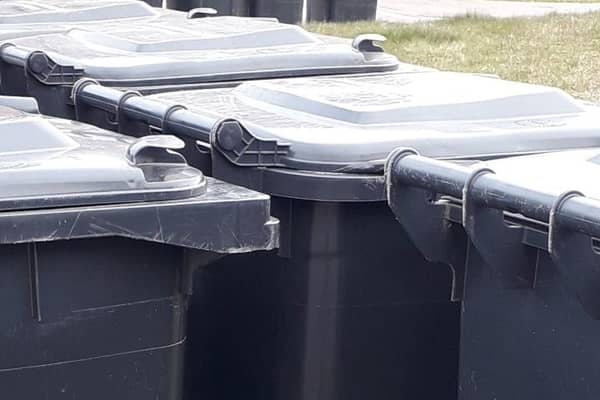 Currently most households in the borough use 240-litre black bins. Photo: Local Democracy Reporting Service