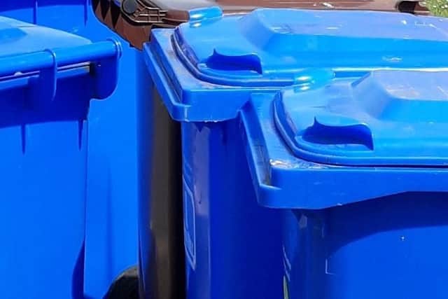 Blue bins Photo: Local  Democracy Reporting Service